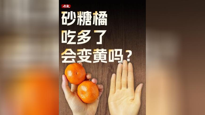 香港494949cc澳彩资料大全2025年搜狗浏览器,来自假惺惺的你,社会责任方案执行_钱包版V6.15