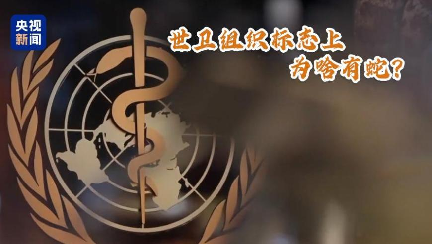 澳门管家婆一码一肖一特一中,辛芷蕾新剧秒变高冷医生,前瞻性战略落实探讨_AndroidV7.34