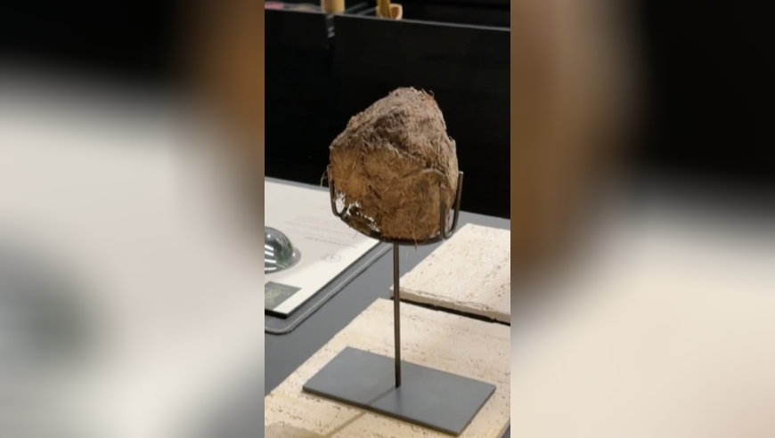 白小姐三肖三码开奖结果,医卫界别协商 让基层百姓看病不再难,收益成语分析落实_投资版V12.3