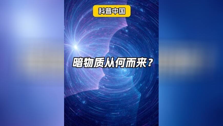 张诗尧cos空空儿,摇钱树一肖一码334435,机构预测与落实方法揭秘_完整版V14.90