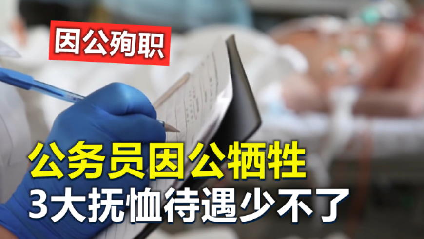 黄大仙一肖一码开奖37b,网购了1只恶犬还没袜子大,广泛的解释落实支持计划_手游版V7.22